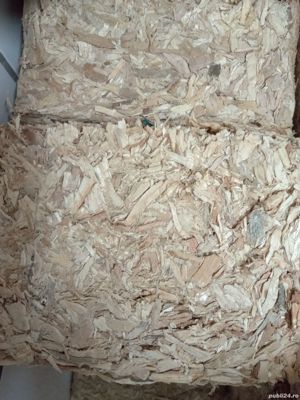 Vind brichete de foc esență tare