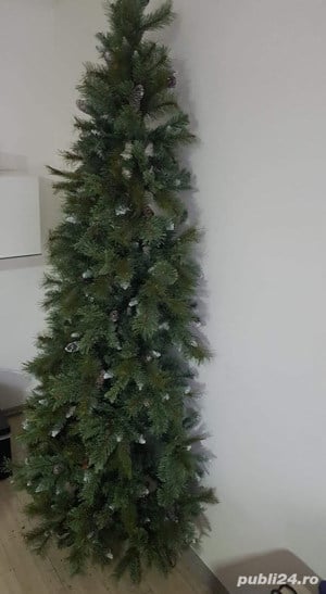 brazi artificiali    - imagine 2