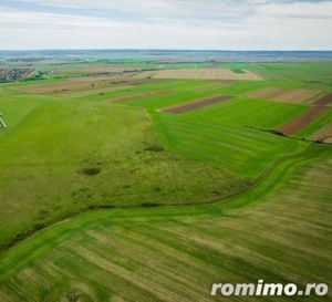 Teren agricol 5ha Giarmata langa Antena Radar - imagine 4