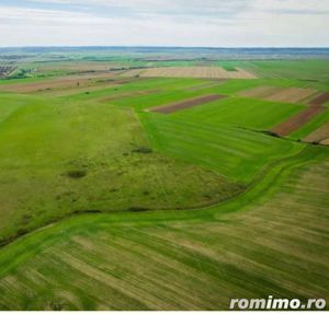 Teren agricol 5ha Giarmata langa Antena Radar - imagine 3