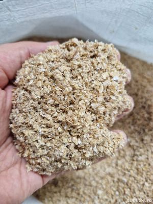 Tarate de grau SACI - imagine 3