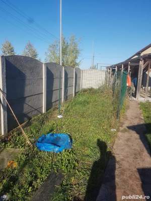 servicii spatii verzi - imagine 7