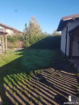 servicii spatii verzi - imagine 5