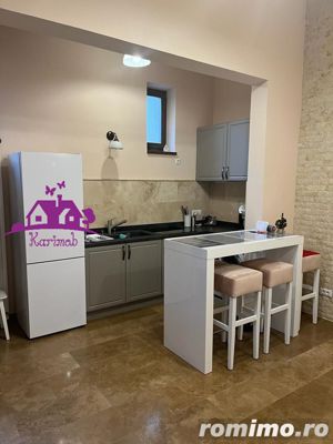 Apartament ultracentral de vanzare sau inchiriere - imagine 2