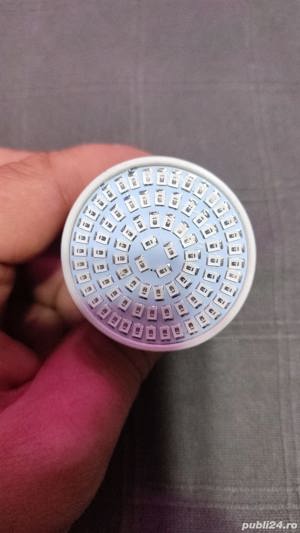 Bec cresterea plantelor