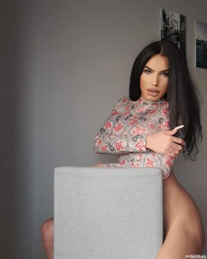 Dominare Zayres    dotată discreție maximă  - imagine 4