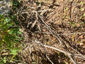 Lemne de foc 3mc - imagine 3