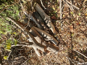 Lemne de foc 3mc - imagine 4