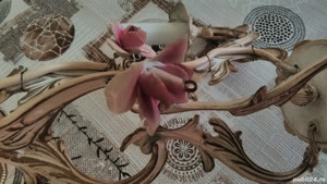 Corpuri. De. Iluminat 