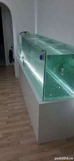 acvariu 230 x 65 x 50 - imagine 2