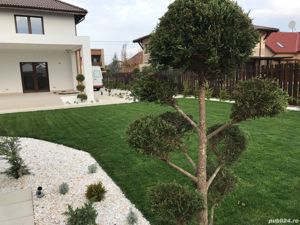 Servicii profesionale de gradinarit - imagine 7