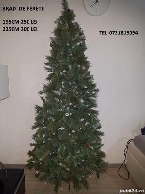 brazi artificiali    - imagine 3