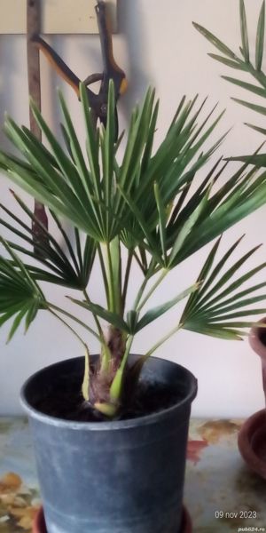  Vand planete de interior si exterior. - imagine 5