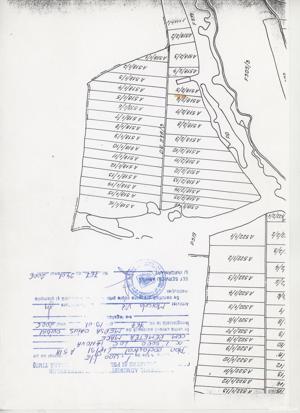 ocazie! Vând parcelă 500 mp teren, localitatea Ianova, PUZ început, preț 20 euro mp - imagine 2