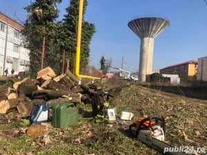 Defisari+Toaletare copaci = tocare resturi vegetale  - imagine 2