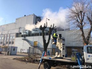 Defisari+Toaletare copaci = tocare resturi vegetale  - imagine 5