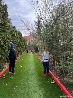 Dresaj si pensiune canina - imagine 2