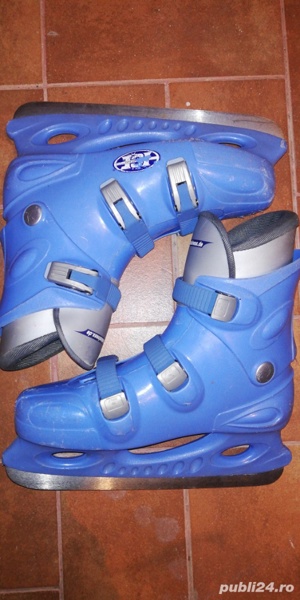 Patine gheata  - imagine 2