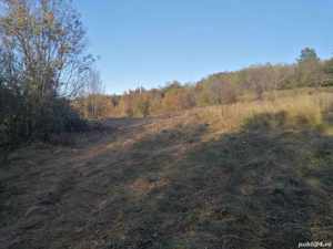 teren intravilan de vinzare resita linga satul doman  - imagine 3