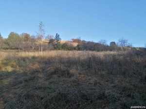 teren intravilan de vinzare resita linga satul doman  - imagine 2