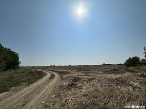 Otopeni Gara Balotesti teren 23.300 mp cu o deschidere de 50 metri  - imagine 5