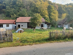 Casa de vânzare cu gradina teren de aprox 7000 mp - imagine 2