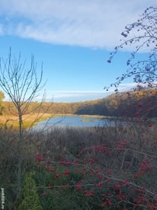 Teren  Scrovistea 1500 mp la lac  , langa Snagov