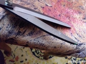 foarfeca pentru  tuns gard viu - imagine 3