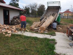 Lemne tăiate, crăpate, clădite, stejar ,fag - imagine 5