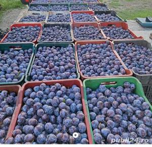 Vând țuică de prune. - imagine 3