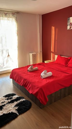 Regim Hotelier : Palas,Piata Unirii,P Ros, bvd Stefan cel Mare - imagine 8