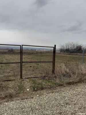 Teren casa ZORLENI  - imagine 4