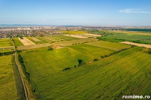 Teren de 10.000 mp situat în Bujac, Arad - imagine 6