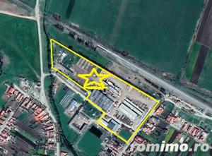 Proprietate industriala 5200mp cu 3,1 ha teren intravilan, in Miercurea Sibiului - imagine 5