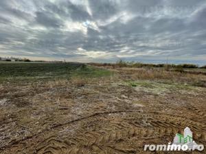 Teren de  vanzare in Otopeni 6900 mp