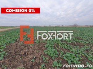 Comision 0% Teren extravilan agricol 21,32 ha sau intravilan cu PUZ aprobat - imagine 10