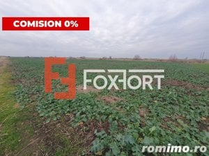 Comision 0% Teren extravilan agricol 21,32 ha sau intravilan cu PUZ aprobat - imagine 11