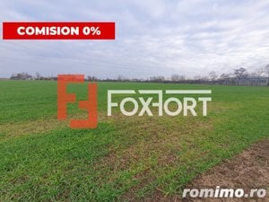 Comision 0% Teren extravilan agricol 21,32 ha sau intravilan cu PUZ aprobat - imagine 3