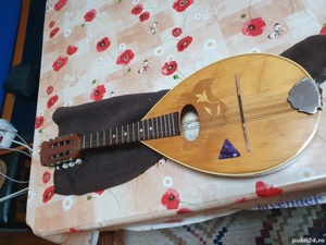 Vand Mandolina Reghin