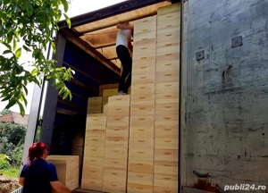 fabrică componente apicole  - imagine 3