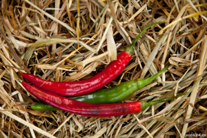 Sos de Ardei Iuti dulce-iute - Românesc - 100% NATURAL - imagine 3