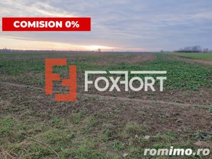 COMISION 0% Teren extravilan agricol 10.000 mp la sosea in Sag - imagine 5