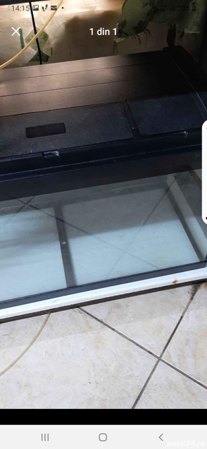 Vând diverse specii de pești exotici și acvarii - imagine 2