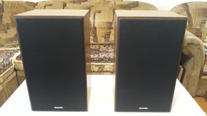 Boxe Sharp CP-30HW ( 2 căi )