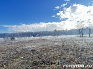 Teren langa liziera padurii 7000mp Calea Poplacii