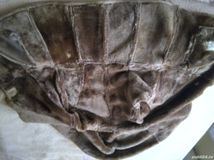 Cojoc dama blana naturala Shearling mar L - imagine 6