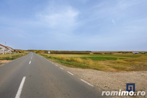 Teren ideal ca investiție, 19000 mp, în Pișchia pe DJ691, comision 0 - imagine 3