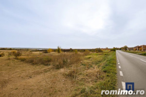 Teren ideal ca investiție, 19000 mp, în Pișchia pe DJ691, comision 0 - imagine 4