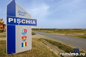 Teren ideal ca investiție, 19000 mp, în Pișchia pe DJ691, comision 0