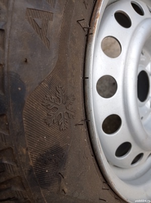 Roata complecta  - imagine 3